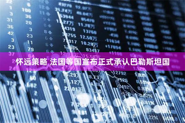 怀远策略 法国等国宣布正式承认巴勒斯坦国
