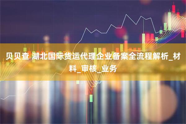 贝贝查 湖北国际货运代理企业备案全流程解析_材料_审核_业务