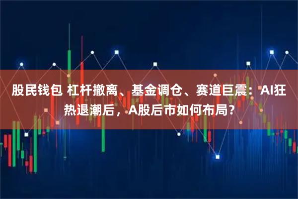 股民钱包 杠杆撤离、基金调仓、赛道巨震：AI狂热退潮后，A股后市如何布局？